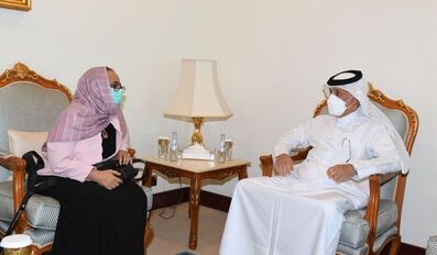 Minister of State for Foreign Affairs meets Ambassadors